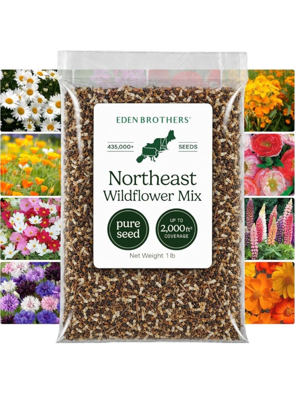 Northeast Wildflower Seed Mix - 1 lb, 480K+ Seeds, Attracts Pollinators, Plant
